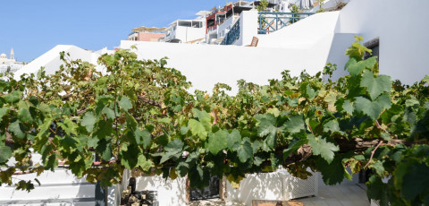 FIRALIA SUITES - FIRA image 7