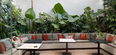IVIS 4 HOTEL image 7
