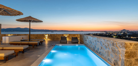 LITHIA EXCLUSIVE VILLAS - PLAKA image 2