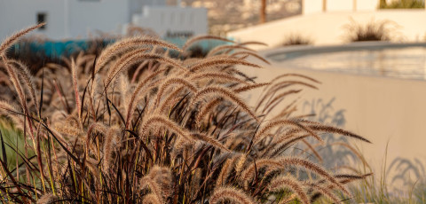 NILEA ISLAND LIVING - AGIA ANNA image 14