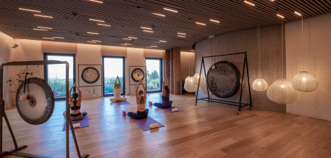 EUPHORIA WELLNESS RETREAT - MYSTRAS image 7