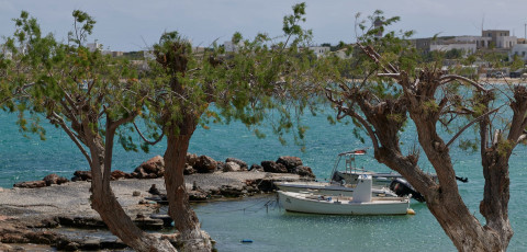 SALT SUITES - NAOUSSA image 13
