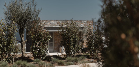 STAMNA SUITES - APOLLONIA image 3